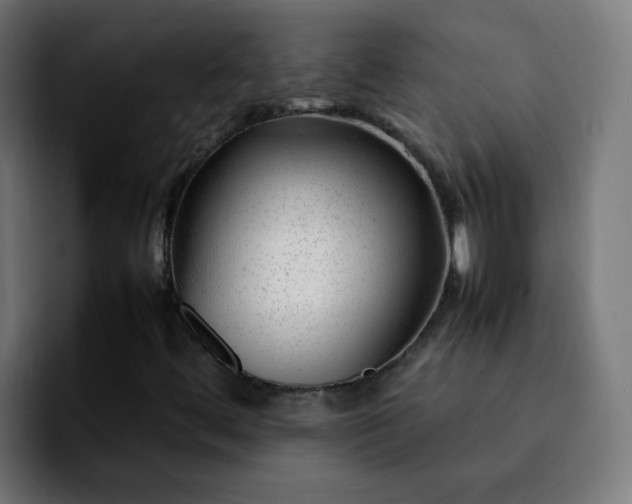 X0000092281444200709211147