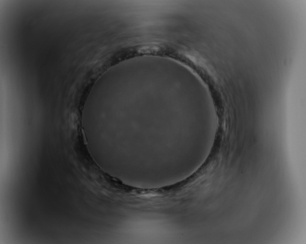 X0000092281445200709211147