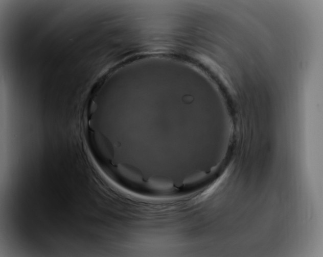 X0000092281449200709211147