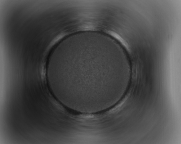 X0000092281450200709211147