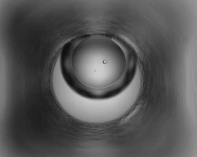 X0000092281453200709211147