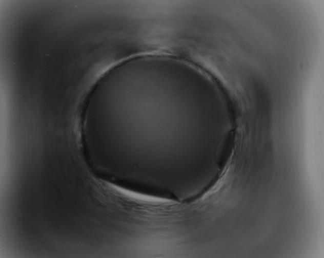 X0000092281455200709211147