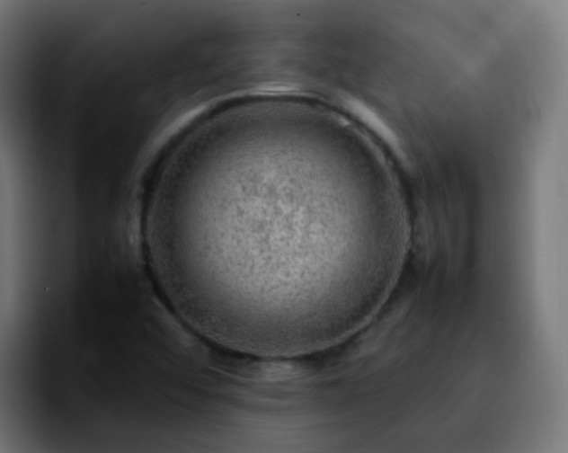 X0000092281456200709211147