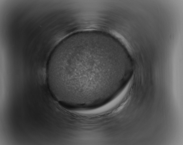 X0000092281457200709211147