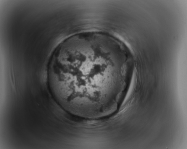 X0000092281459200709211147