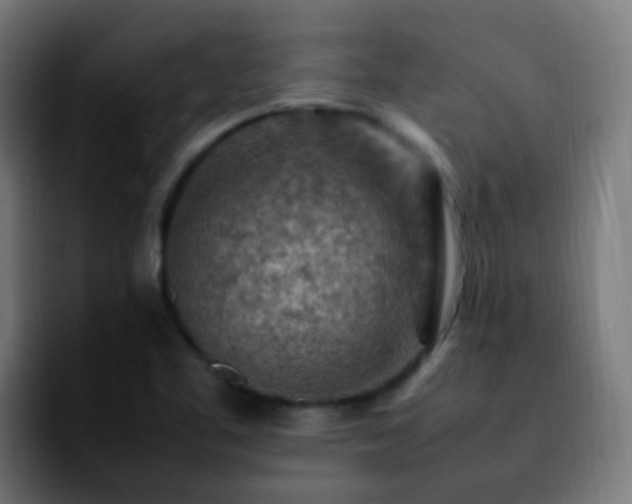 X0000092281461200709211147