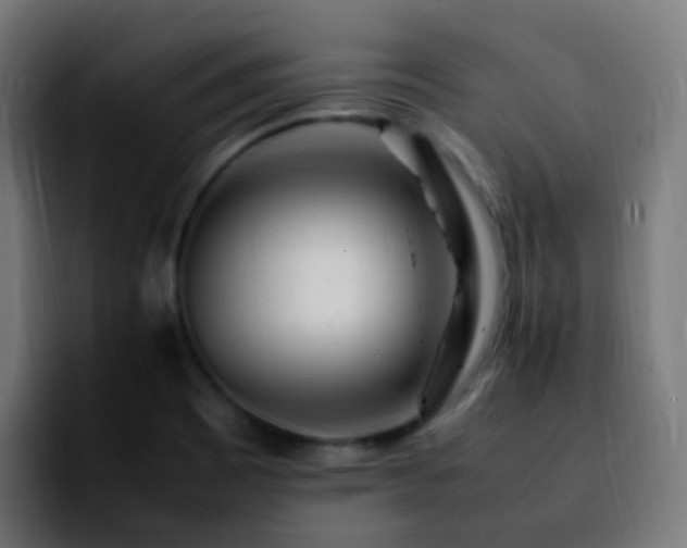 X0000092281465200709211147