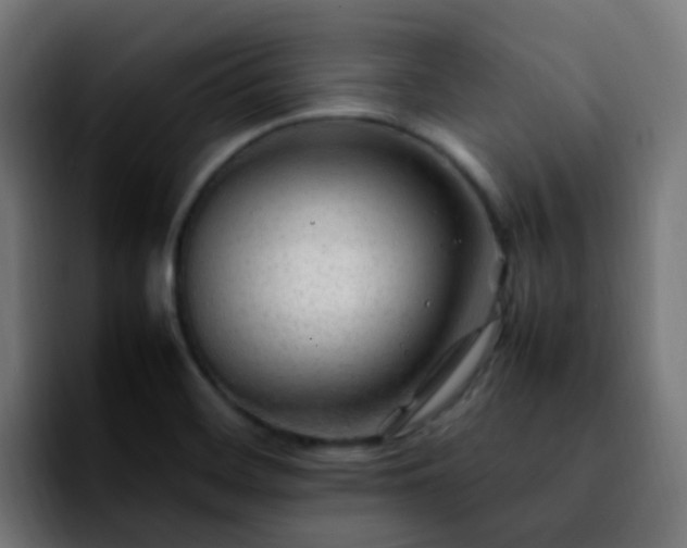 X0000092281468200709211147