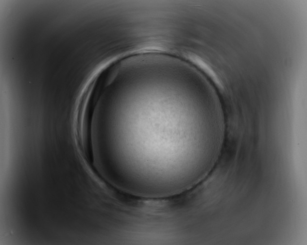 X0000092281469200709211147