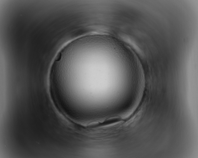 X0000092281471200709211146