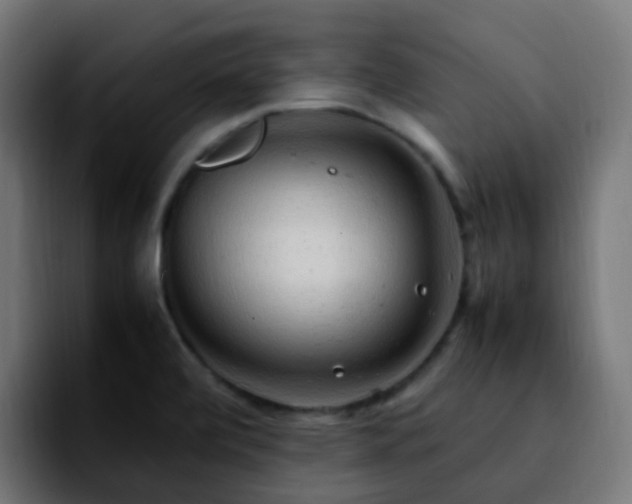 X0000092281472200709211146