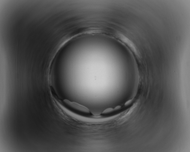 X0000092281473200709211146