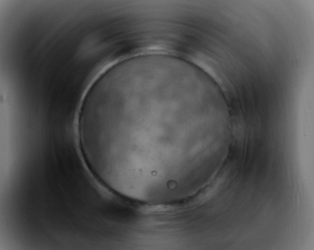 X0000092281474200709211146