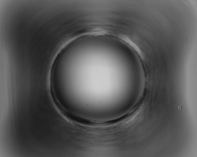 X0000092281477200709211146