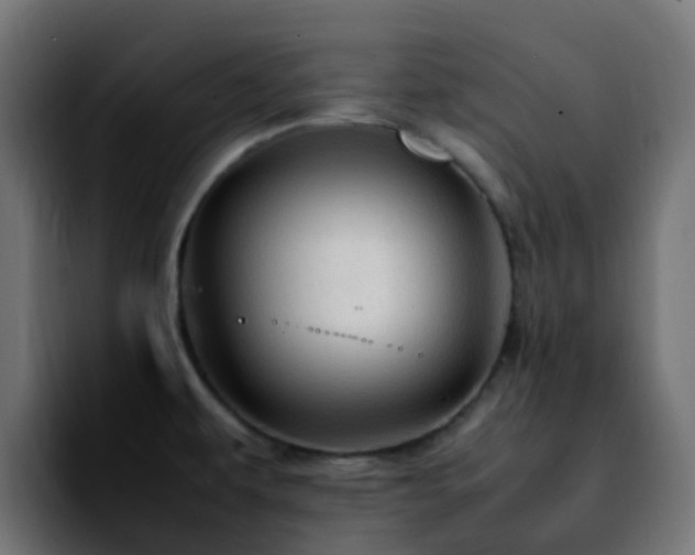 X0000092281479200709211146