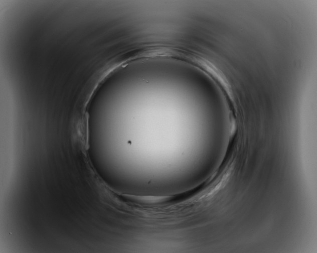 X0000092281481200709211146