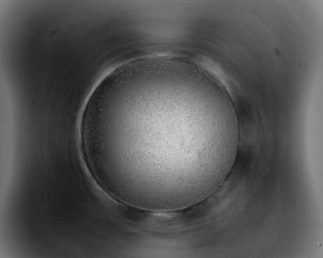 X0000092281483200709211146