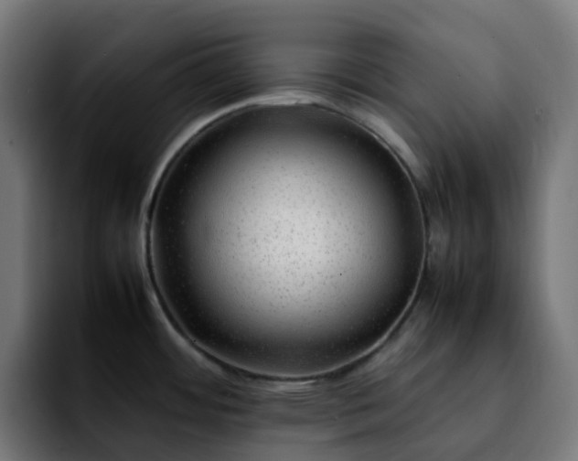 X0000092281484200709211146