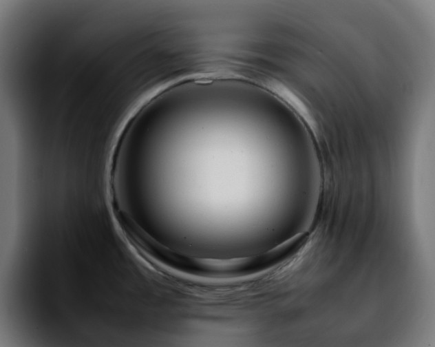 X0000092281485200709211146