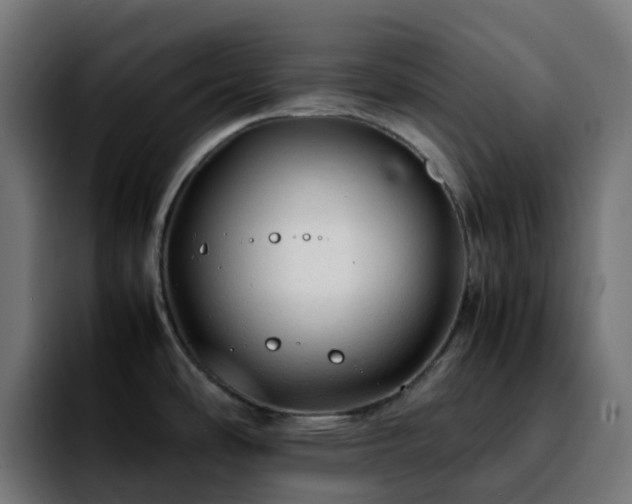 X0000092281486200709211146