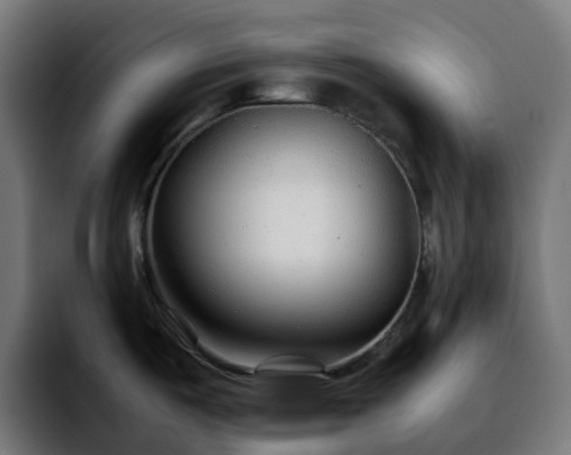 X0000092281487200709211146