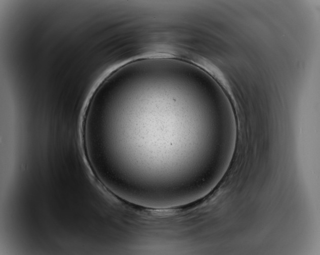 X0000092281488200709211146