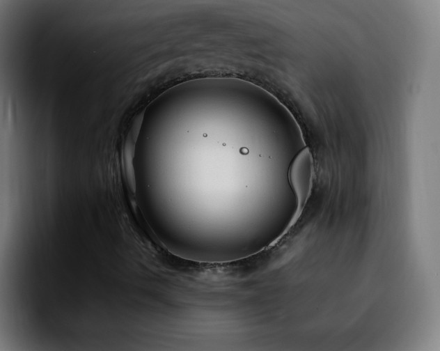 X0000092281490200709211146