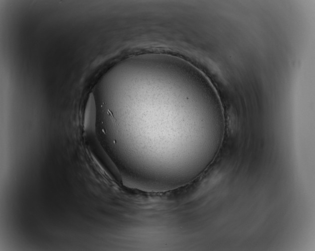 X0000092281494200709211146