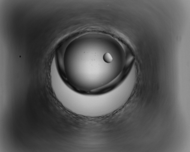 X0000092281496200709211146