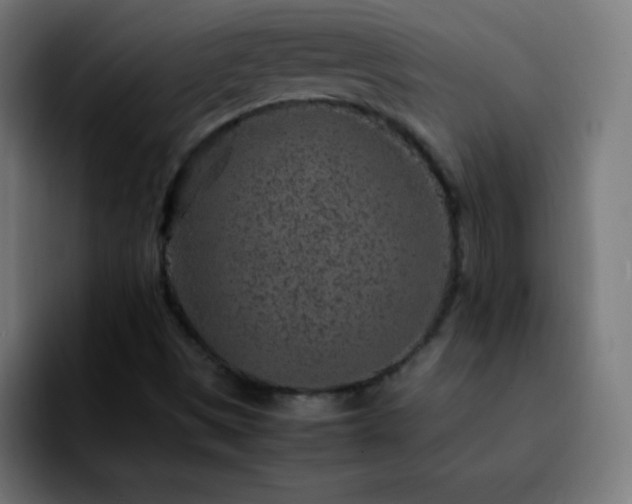 X0000092281497200709211146