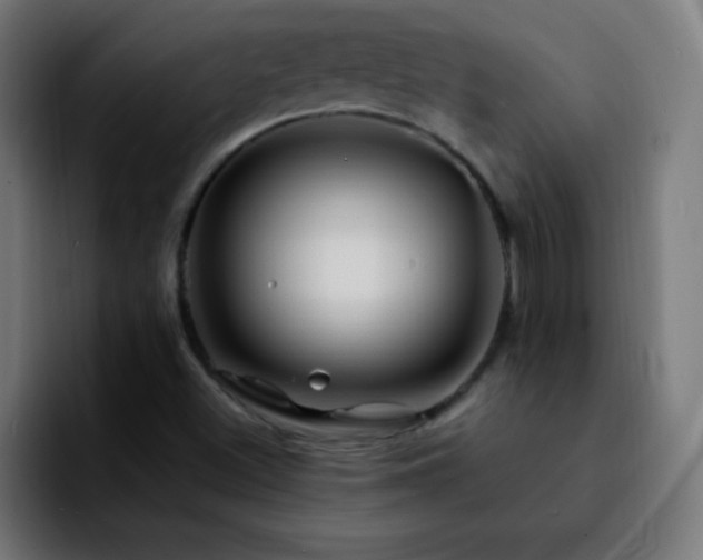 X0000092281500200709211146