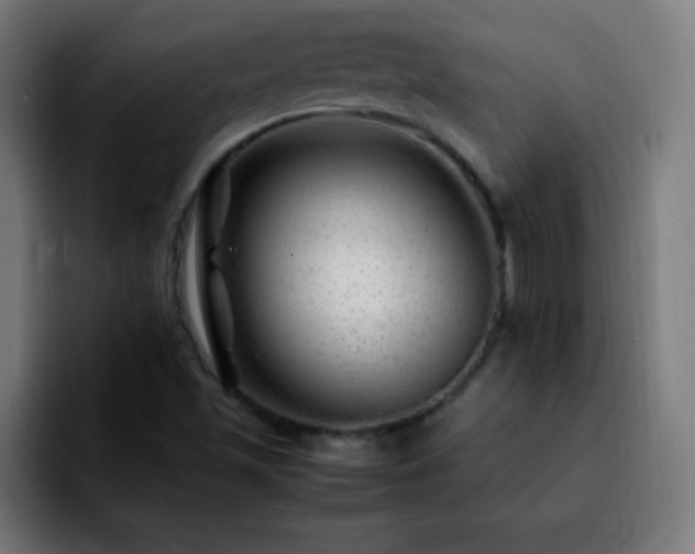 X0000092281501200709211146