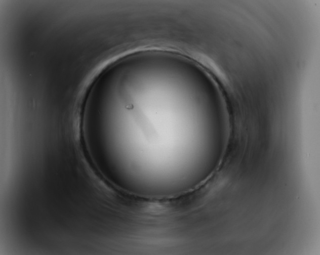 X0000092281504200709211146