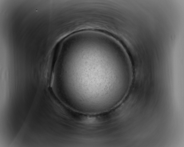 X0000092281505200709211146