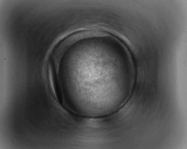 X0000092281506200709211146