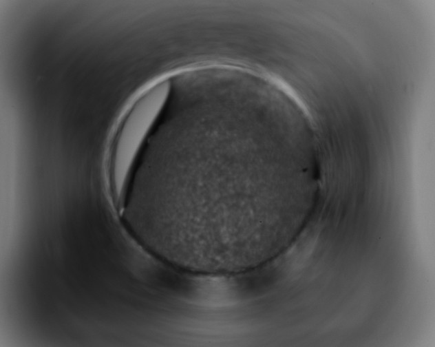 X0000092281508200709211146