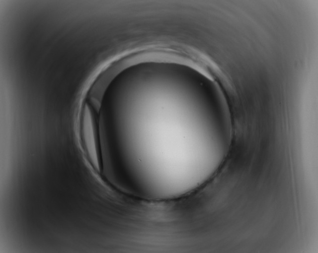 X0000092281512200709211146