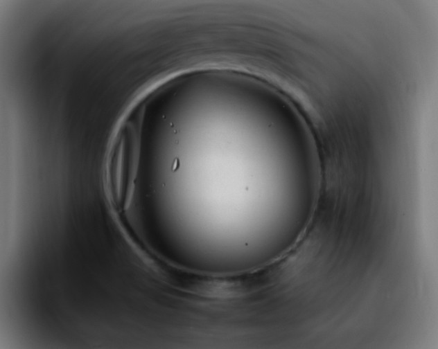 X0000092281517200709211146