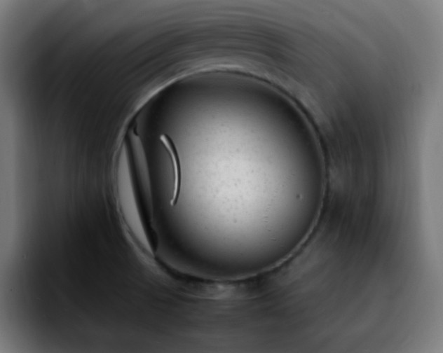 X0000092281521200709211146