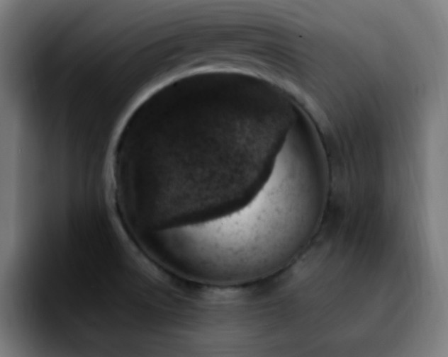 X0000092281522200709211146