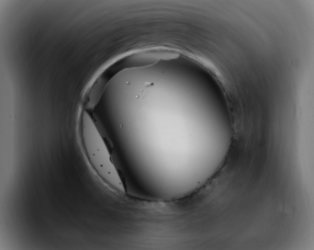 X0000092281524200709211146