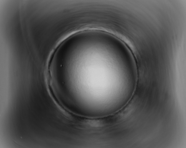 X0000092281525200709211146