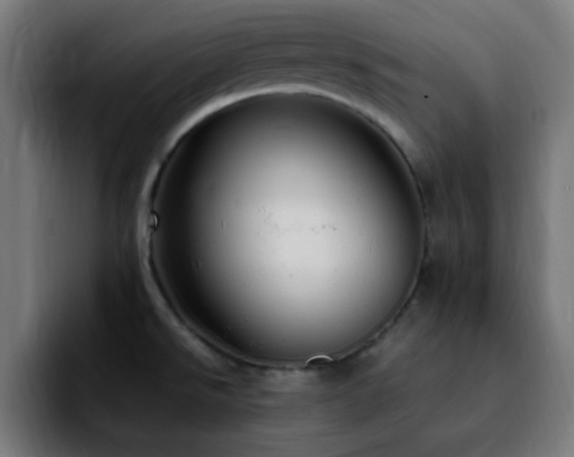 X0000092281526200709211146