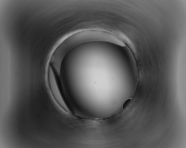 X0000092281528200709211146