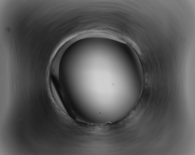 X0000092281530200709211146