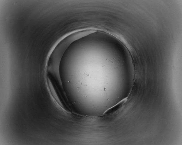 X0000092281532200709211146