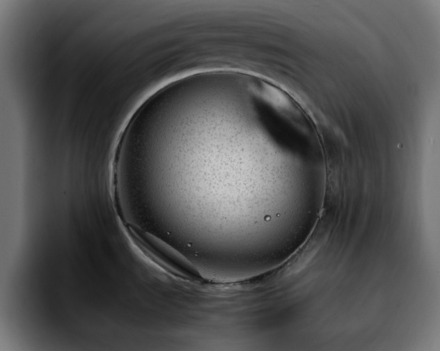 X0000092281535200709211146