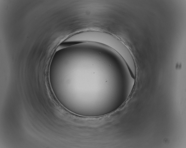 X0000092280001200709281255