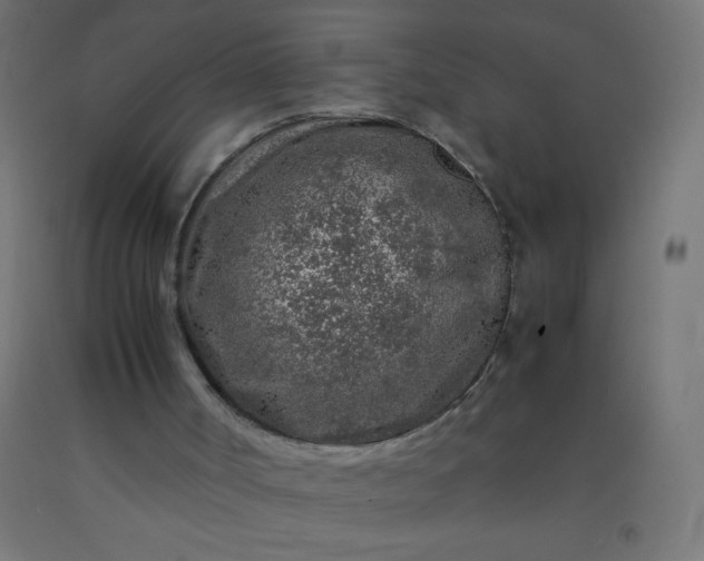 X0000092280002200709281255