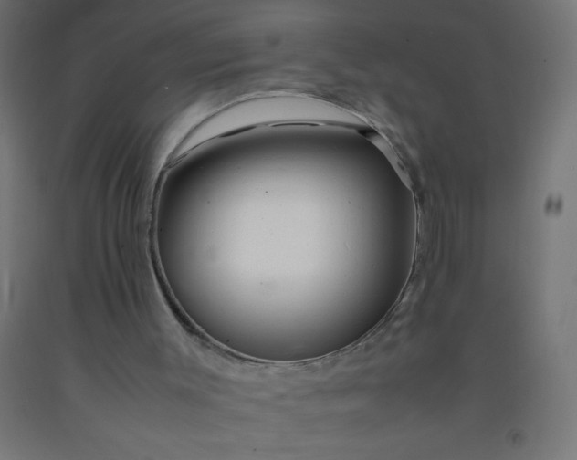 X0000092280003200709281255